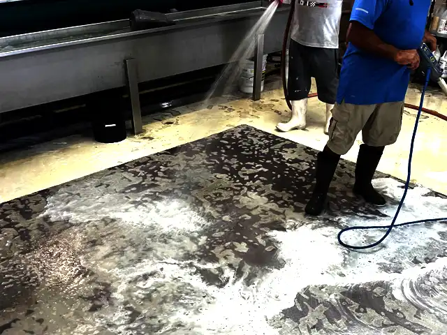 Modern Rug Cleaning Service