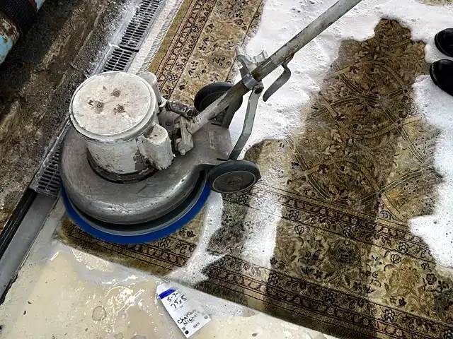 Oriental Rug Cleaning Service Stuart