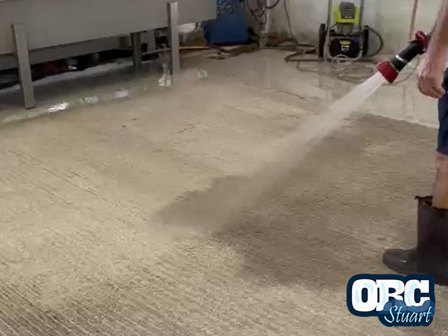 Custom Rug Padding & Resizing Service