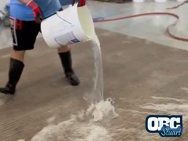 Effective Pet Odor & Stain Removal Service