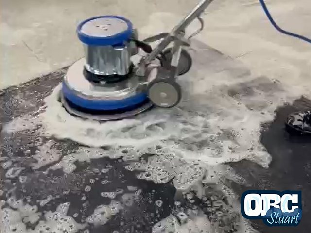 Effective Pet Odor & Stain Removal