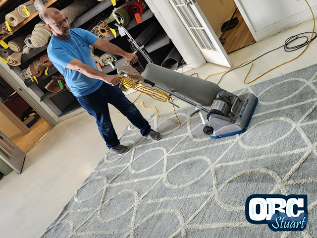 Precision Oriental Rug Cleaning