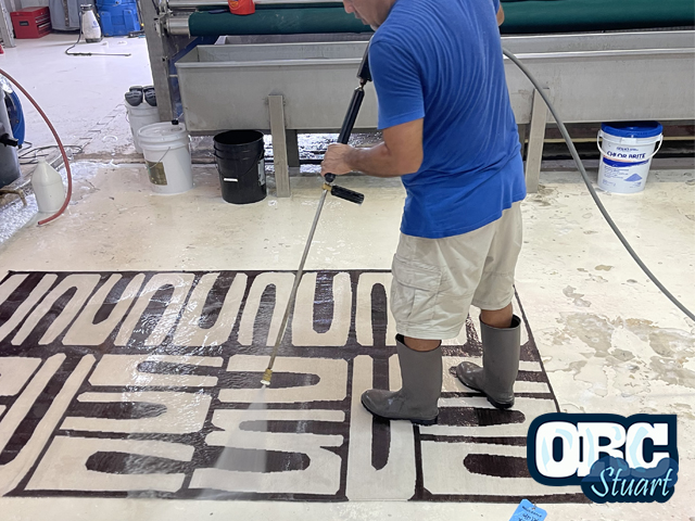 Oriental Rug Cleaning