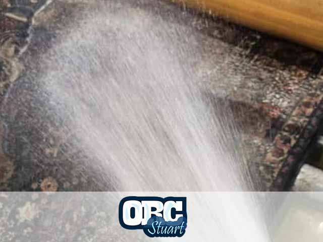 Oriental Rug Cleaning